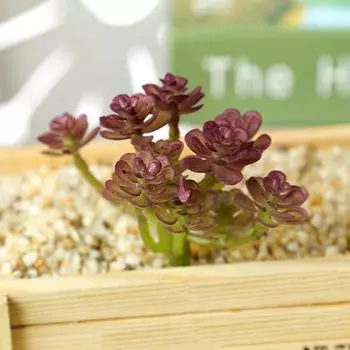 1шт DIY неувядаемые поддельные суккуленты пластиковые декоративные вечные искусственные растения вечерние декор красный