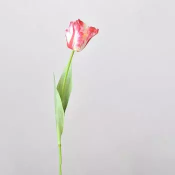 1шт имитация попугая тюльпан 69см искусственный цветок свадебный декор настоящее прикосновение темно-розовый