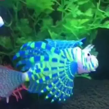 1шт искусственная светящаяся крылатка аквариумная водный пейзаж силиконовая медуза рыба синий