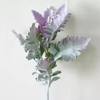 1шт искусственный Senecio Cineraria поддельные растения фото реквизит DIY домашний офис декор фиолетовый/зелёный