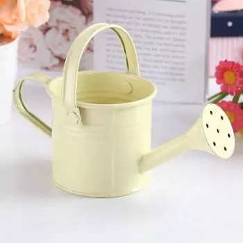 1шт мини-разбрызгиватель домашний сад Крытый старинный цветок металлический поливочный железный горшок бежевый