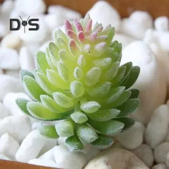 1шт пластиковые поддельные искусственные суккуленты растение бонсай сад домашний офис декор