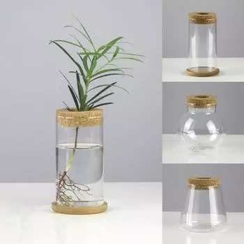 1шт прозрачная стеклянная ваза контейнеры цветочная композиция бесземные растения гидропонный горшок