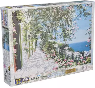 2000 Piece Jigsaw Puzzle Villa Angelica Super Small Piece (38x53cm)