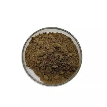 200 г органического экстракта семян чиа 20:1 Порошок