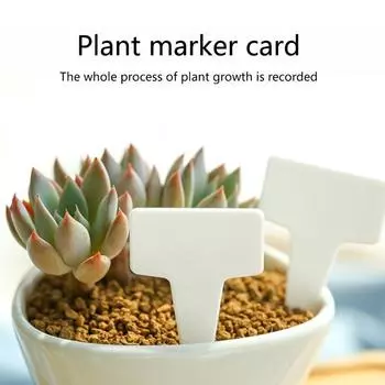 200 шт. этикетки для растений Т-образные бирки для названий растений садовые этикетки маркеры бирки для питомников для сада на открытом воздухе водонепроницаемые колышки для растений