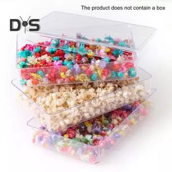 200 шт., привлекательный яркий цветок, долговечный стильный визуальный эффект, сушеный цветок, дисплей для DIY белый