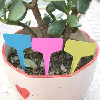 200 шт. этикетки для растений водонепроницаемые маркеры для цветочных горшков Т-образный дизайн бирки для питомников этикетки колышки для растений в горшках белый