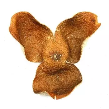 2020 XinHui Chen Pi TianMa Производственная зона сушеный мандарин с половиной красной кожуры, китайский чай с сухими травами, 50 г