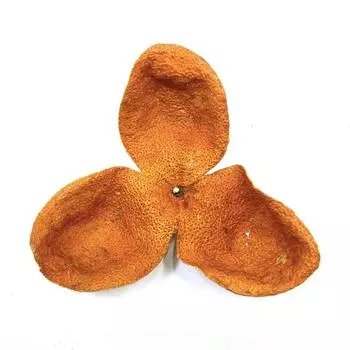 2021 XinHui Chen Pi Мучжоу, производственная зона, полностью красная сушеная мандариновая кожура, перикарпий, апельсиновая корка, травяной китайский чай, 50 г