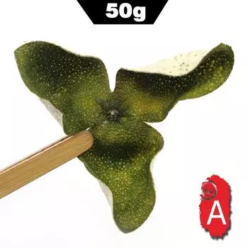 2022 Chen Pi XinHui TianMa Area Зеленый новый сушеный мандарин с апельсиновой цедрой, травяной чай 50g