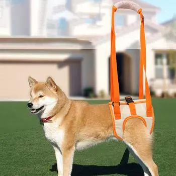 2022 Новый регулируемый ремень для подъема собак для задних ног, поддерживающий строп для домашних животных, помощь слабым ногам, вставание домашних собак, инструмент помощи