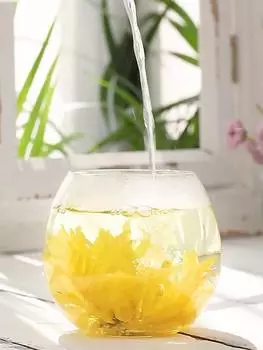 2023 Huangshan Chrysanthemum Flower Tea Золотая хризантема 20 шт. Подарочная упаковка 20 г 20g