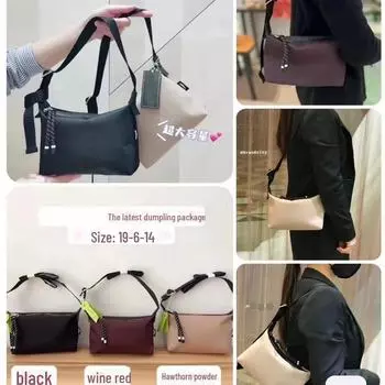 2023 Женская водонепроницаемая нейлоновая сумка French Dumpling через плечо и через плечо High Version 1:1 чёрный