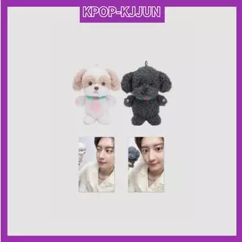 2024 ГОДА ЖИВОЙ ТУР CHANYEOL : (Городской пейзаж) ОФИЦИАЛЬНАЯ кукла MD 10 см TOBEN