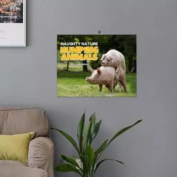 2024 Настенный календарь Настенный забавный бумажный новинка Ежегодный подарок Забавный фото животных Настенный календарь Планировщик Календарь животных Ежемесячный планировщик 29x21x0.5cm