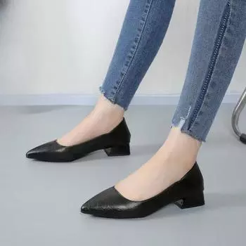 2024 New Women s Shoes Shallow Mouth Thick Heel Pointed Women s Shoes Women s Fashion Dress Office 34 бежевый