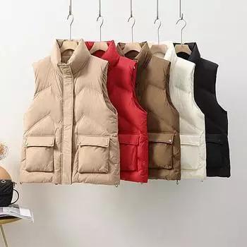 2024 новый осенне-зимний жилет с воротником-стойкой для женщин, маленькие люди носят белый утиный пух с большим карманом, куртка-жилет, универсальный S чёрный