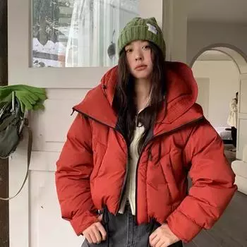 2024 новый свободный пуховик с капюшоном женский весна-осень нишевый сладкий и крутой свободный короткий ветровка пальто average size 90-75kg чёрный