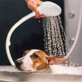 2024 Pet Faucet Душевой шланг с разбрызгивателем Многофункциональная душевая головка 1,3 м Раковина Удлинитель для мытья ванной комнаты Чистящие средства для ванны белый