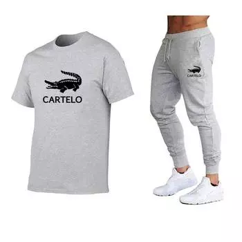 2024 Весна Лето Мужской спортивный костюм Мужские комплекты Мужская футболка + мужские шорты Мужская одежда Костюмы Спортивный костюм Мужской повседневный костюм с коротким рукавом S серебряный