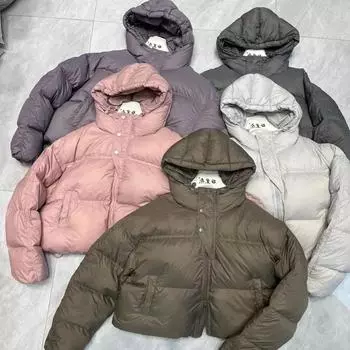 2024 зима новый пуховик женский короткий с капюшоном свободный повседневный утолщенный маленький теплый пиджак прилив One size серый