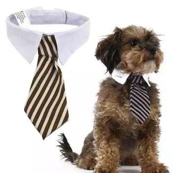 2025 Dog Cat Grooming Cat Striped Bow Tie Animal Striped Bow Tie Collar Pet Adjustable Christmas Cat Collar Pet Collar S белый
