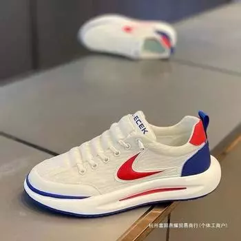 2025 new men s shoes spring and autumn breathable ice silk mesh shoes trendy versatile sports dad shoes Forrest Gump shoes 39