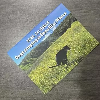 2025 Peed-Off Cats Calendar - Funny Cat Themed Gifts For Cat Lovers Cock Calendar, Inspirational Scripture Journey Wall Calendar