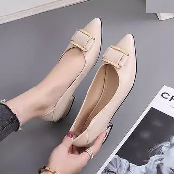2025 spring and autumn new pointed head shallow mouth low heel flat shoes versatile small fragrant thick heel work shoes square buckle sin 34