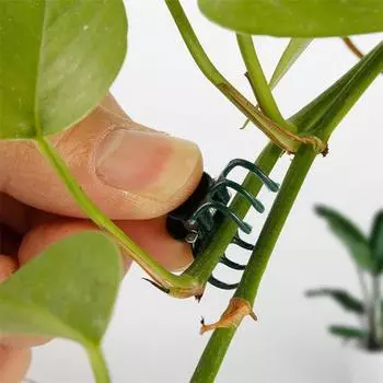 20/100 шт. зажимы для поддержки растений, цветы орхидеи, лозы растут вертикально, здоровый рост, зажимы для связывания, простой в использовании зажим для фиксации растений 20PCS