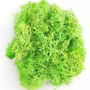 20 г искусственное зеленое растение бессмертный искусственный цветок мох трава дома гостиная декоративная стена DIY цветочные аксессуары красный