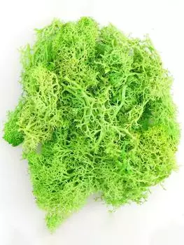 20 г Искусственный Бессмертный Мох Зеленый Искусственное Растение для Дома Сада Гостиная Озеленение Декор Наполнитель Стены Цветочное Растение Искусственный Мох светло-зеленый