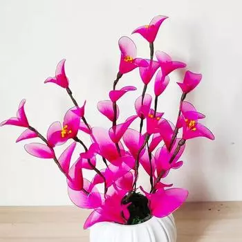 20 шт. эластичные нейлоновые чулки Diy Ronde материал для изготовления цветов ручной работы аксессуары для свадебного дома Diy украшение для цветочного сада