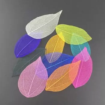 20 шт. DIY ремесла закладка натуральный сушеный цветок скелет листья украшения 4-9 см кофейный