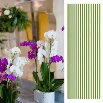 20 шт. гибкие опоры для растений с одним стеблем металлические опоры для роста растений для орхидей пионов роз горшечных растений 40cm