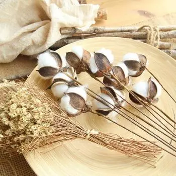 20 шт. хлопковых стеблей, натуральные хлопковые цветы, сушеные хлопковые палочки, ветка для вышивки, наполнитель для фермерского дома, мебель, свадебное украшение для дома своими руками 20 Pcs