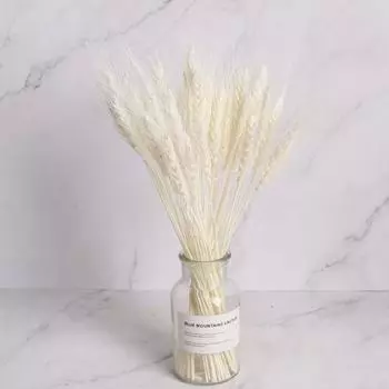 20 шт. колосьев пшеницы натуральные сушеные стебли пшеницы трава ячмень искусственный букет цветов для DIY Cra S2E4 orange-25pcs