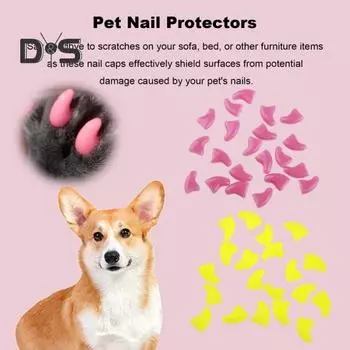 20 шт. колпачки для ногтей с клеем, модные накладки на когти для домашних животных, защита для когтей для кончиков ногтей кошек, аксессуары для домашних животных для собак, кошек XS серый