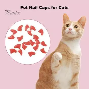 20 шт. колпачки для ногтей с клеем, модные накладки на когти для домашних животных, защита для когтей для кончиков ногтей кошек, аксессуары для домашних животных для собак, кошек S розовый
