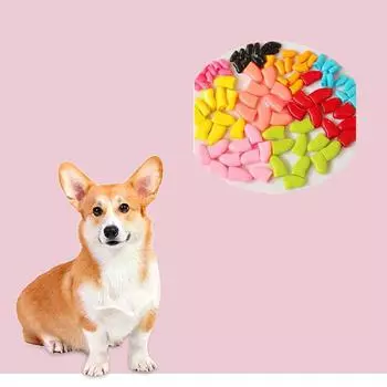 20 шт. колпачков для защиты когтей питомца, для кошек и собак, колпачки против царапин