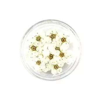 20 шт./кор. прессованный сушеный цветок нарцисса сливы для изготовления ювелирных изделий из эпоксидной смолы, аксессуары для дизайна ногтей красный