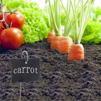 20 шт. крючки для этикеток для растений, высокопрочные, нержавеющие, устойчивые к коррозии, не легко деформируются, устойчивые к атмосферным воздействиям, знак для садовых растений 20cm