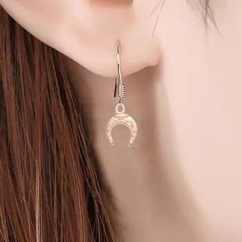 20 шт./лот ювелирные аксессуары ожерелье браслет новый для ювелирных изделий маркировка DIY сплав кулон ретро подкова бледный серебристый