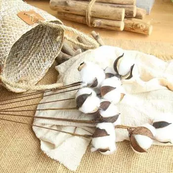 20 шт. сушеных цветочных веток, стебли хлопка, натуральные хлопковые цветы, сушеные хлопковые палочки, наполнитель для витрин фермерского дома, мебель, свадебное украшение для дома своими руками 20 Pcs