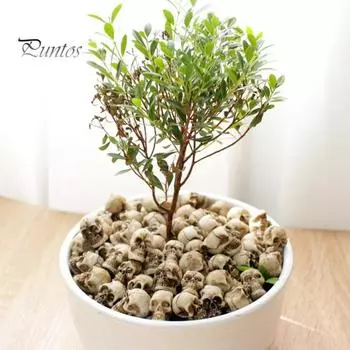 20 шт., украшение в виде мини-черепа, декор для цветочного горшка на Хэллоуин, реалистичный миниатюрный череп из смолы, ремесло для дома, Graden 20PCS