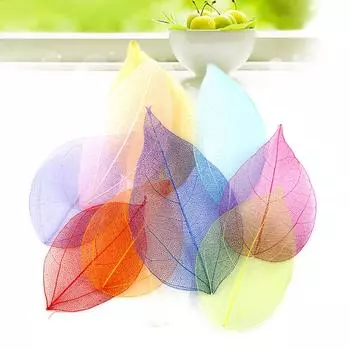 20 шт., украшения ручной работы, натуральные сушеные цветы, закладки, скелет, листья, поделки своими руками белый