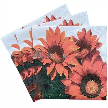 20 шт./упак. 33*33 см 2-слойные одноразовые салфетки для вечеринок с цветочным узором