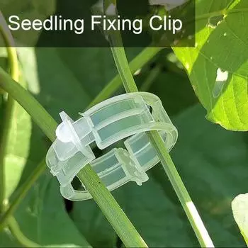 20 шт. зажимы для фиксации саженцев быстро открывающиеся зажимы для поддержки растений прозрачные пряжки для фиксации лозы для прививки подвязывание лозы и висячие растения здоровый рост белый