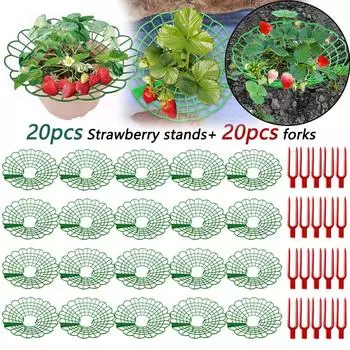 20 штук подставок для клубники и 20 вилок для клубники, антикоррозийная подставка для посадки клубники, поднос для клубники с 3 прочными подставками